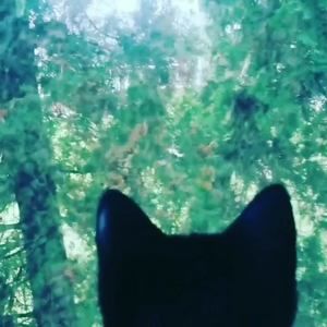 Meet your Posher, Jupiter